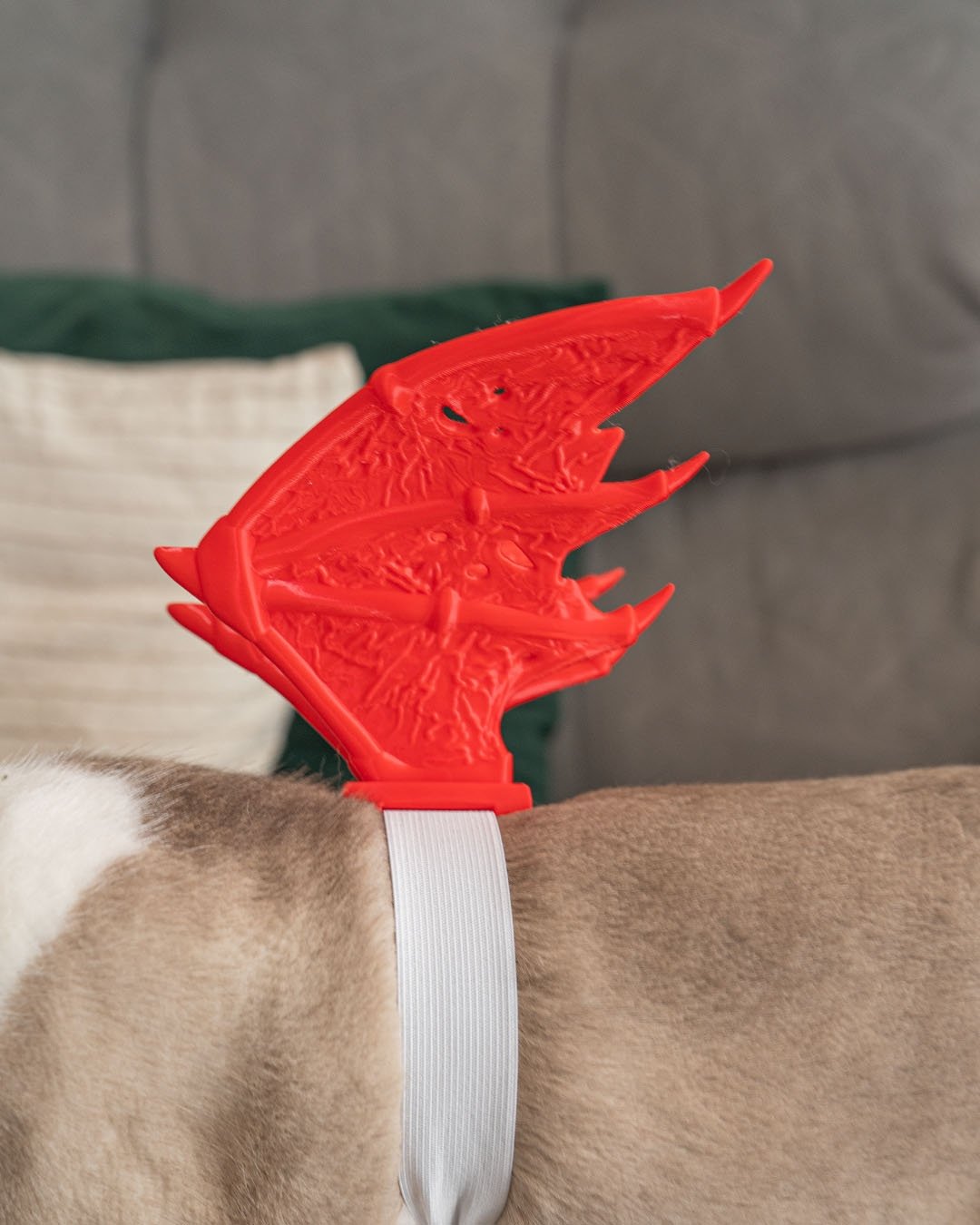 Foto da galeria do produto Fantasia Demoninho para Gato 3D