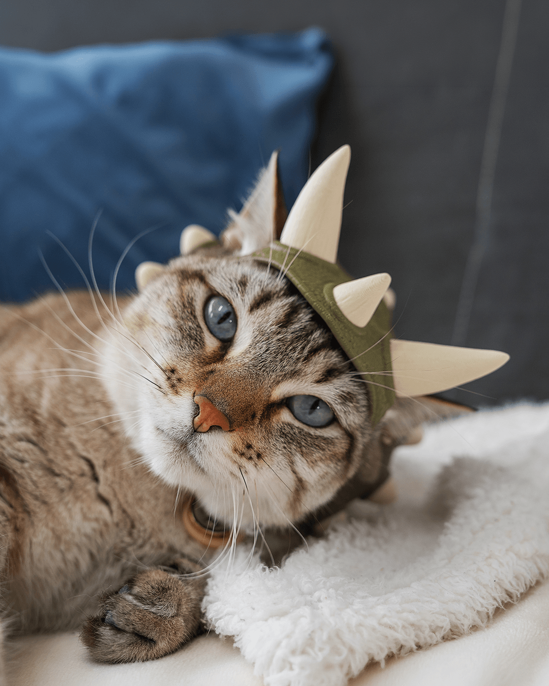 Foto da galeria do produto Coroa Dino 3D para Gato
