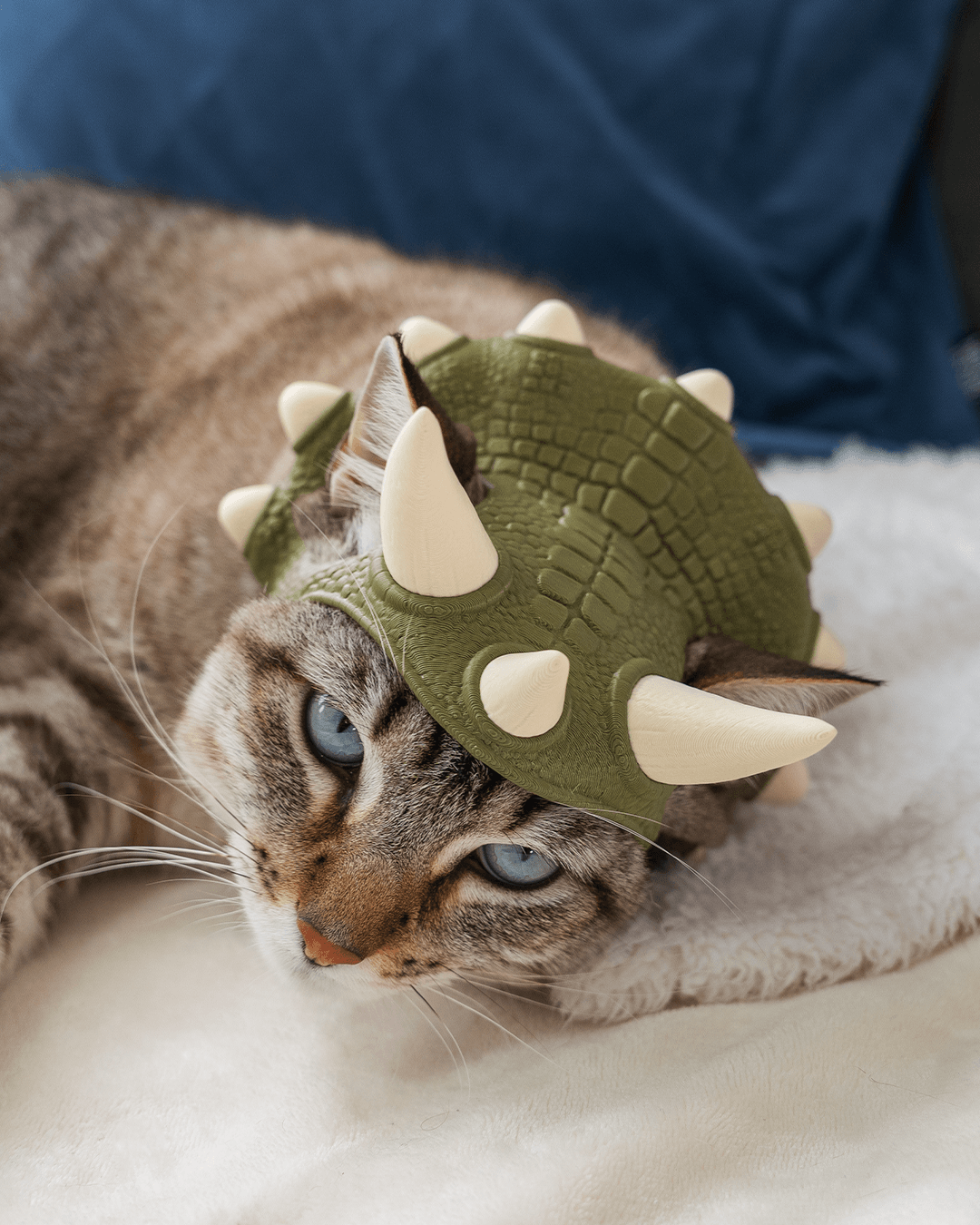Gato deitado usando uma coroa dino 3D verde escuro com espinhos em relevo cor creme impressa em 3D