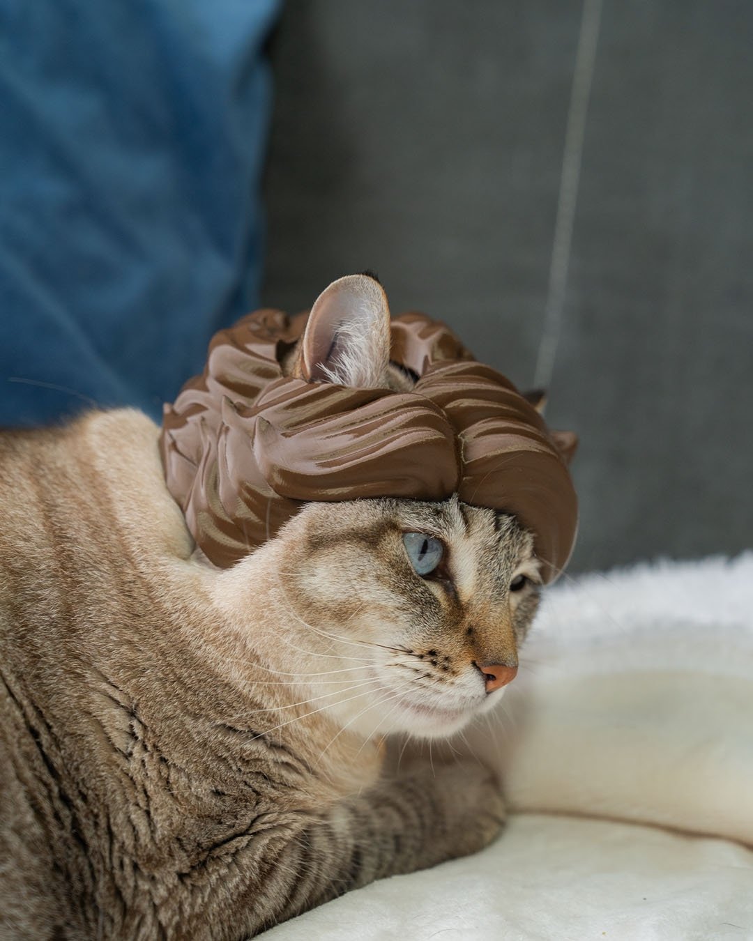 Foto da galeria do produto cabelão Estiloso 3D para Gatos