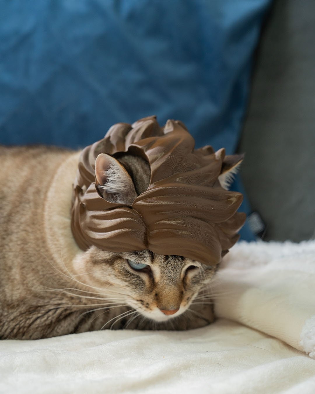Foto da galeria do produto cabelão Estiloso 3D para Gatos