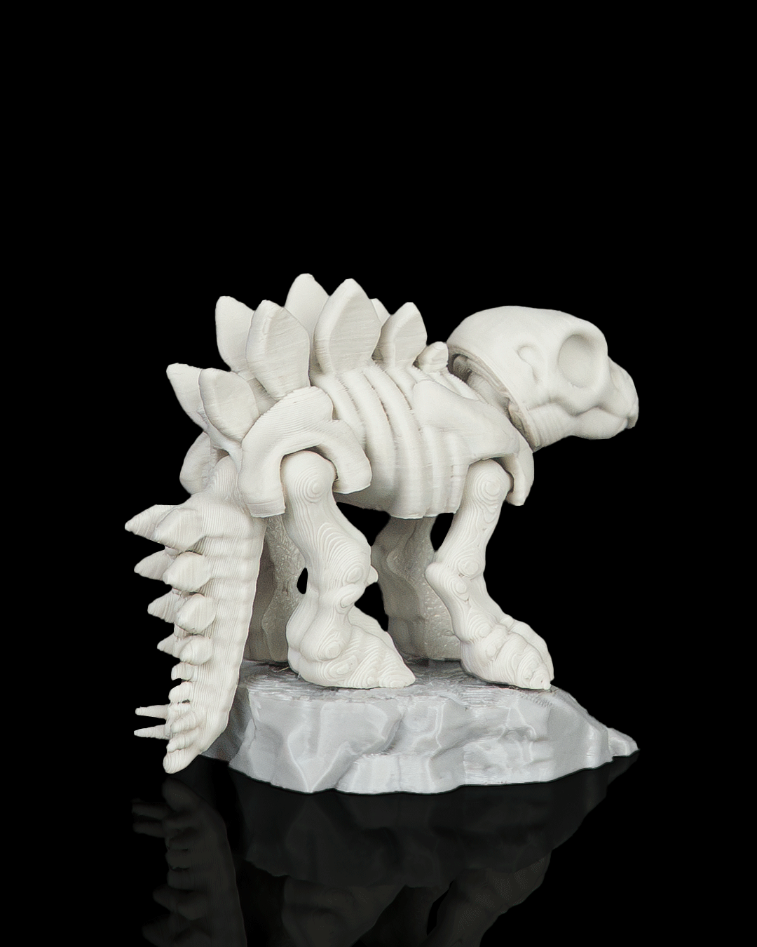 Foto da galeria do produto Bone Ridge Colecionável 3D